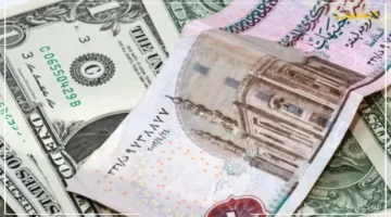 تطور جديد.. سعر الدولار اليوم يخالف توقعات السوق مفاجأة في حركة البنوك والسوق السوداء 1